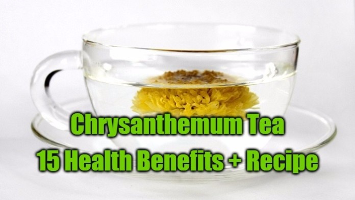 15 Health Benefits of Chrysanthemum Tea   Recipe