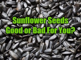 Is Eating Sunflower Seeds Good or Bad For You? Find Your Answer Here!