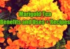 Marigold Tea: Amazing Benefits and Uses + Recipes