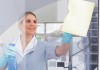 5 Homemade Window Cleaners – Which is the Best?