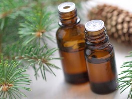 5 Health Benefits of Black Spruce Essential Oil