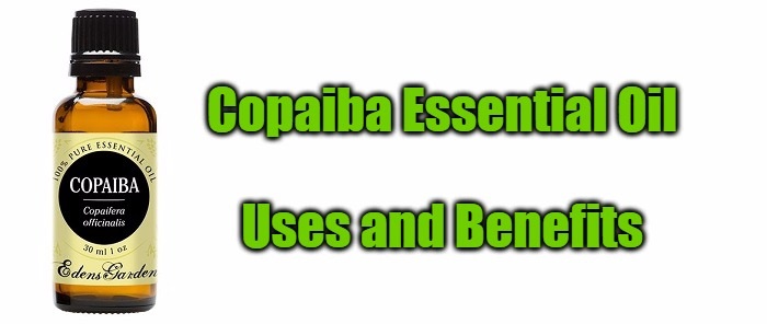 Copaiba Essential Oil - Uses and Benefits