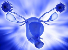 What Is Blue Waffle Disease and How to Treat It