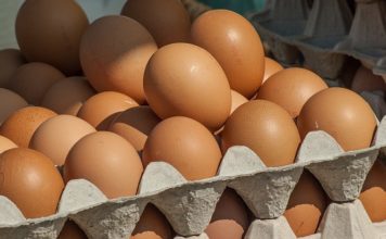 Can Diabetics Eat Eggs?