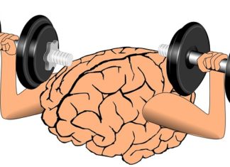 Is the Brain a Muscle?