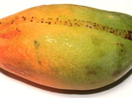 Can You Eat Mango Skin?