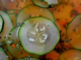 Can You Eat Raw Zucchini?