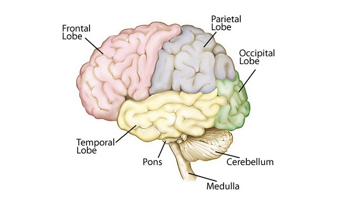 Frontal lobe epilepsy