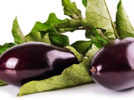 Do Eggplants Have Seeds?