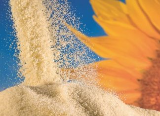 Sunflower Lecithin – Benefits and Uses