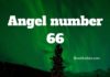 Angel Number 66 – Meaning and Symbolism