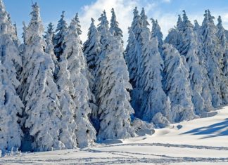 Dreams About Snow – Interpretation and Meaning