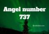 Angel Number 737 – Meaning and Symbolism