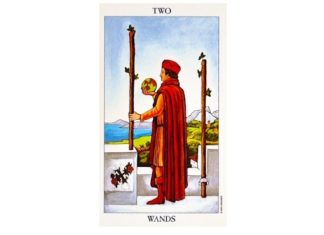 2 of Wands Tarot Card – Meaning, Love, Reversed