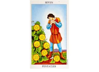 7 of Pentacles Tarot Card – Meaning, Love, Reversed