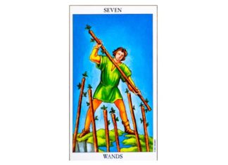 7 of Wands Tarot Card – Meaning, Love, Reversed