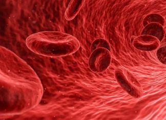 Dreams About Blood – Interpetation and Meaning
