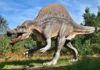 Dreams About Dinosaurs – Interpretation and Meaning